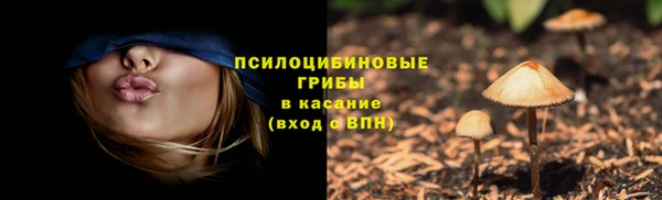 прущая мука Сосновка