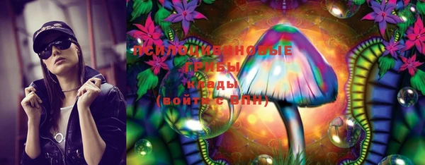 крисы Сосновоборск